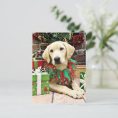 Cartes Pour Fêtes Annuelles Noël - Labrador - Buck (Debout devant)