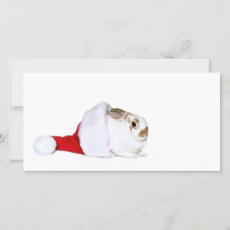 Cartes Pour Fêtes Annuelles Noël lapin