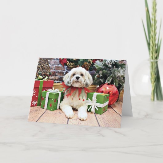 Cartes Pour Fêtes Annuelles Noël - Lhasa Apso - Muffie (Devant)