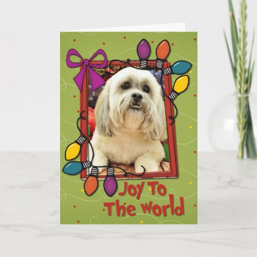 Cartes Pour Fêtes Annuelles Noël - Lhassa Apso - Solo (Devant)