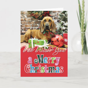 Cartes Pour Fêtes Annuelles Noël - limier - Penney