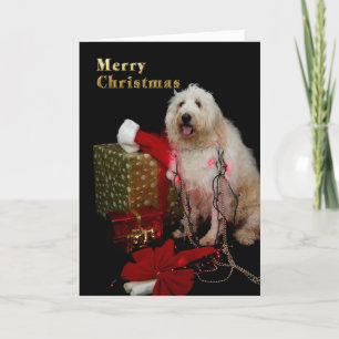 Cartes Pour Fêtes Annuelles Noël - lumières d'arbre sur le chienchien