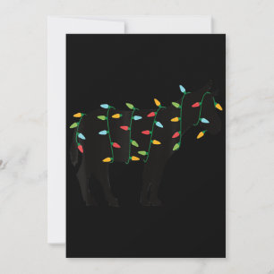 Cartes Pour Fêtes Annuelles Noël Lumières Donkey Zoo Amoureux des animaux Noël