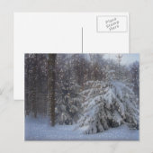 Cartes Pour Fêtes Annuelles Noël magique étoile (Devant / Derrière)