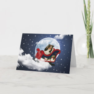 Cartes Pour Fêtes Annuelles Noël magique Sheltie