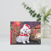 Cartes Pour Fêtes Annuelles Noël - Maltais - Zoey (Debout devant)