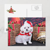 Cartes Pour Fêtes Annuelles Noël - Maltais - Zoey (Devant / Derrière)