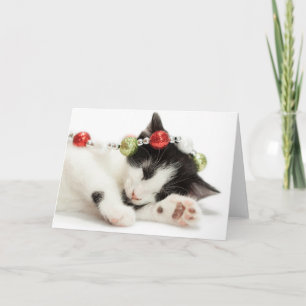 Cartes Pour Fêtes Annuelles Noël Matin Kitten