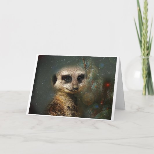 Cartes Pour Fêtes Annuelles Noël Meerkat (Devant)