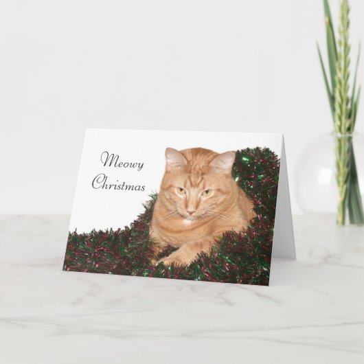Cartes Pour Fêtes Annuelles Noël Meowy (Devant)
