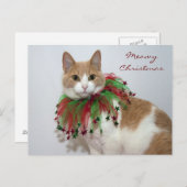 Cartes Pour Fêtes Annuelles Noël Meowy (Devant / Derrière)