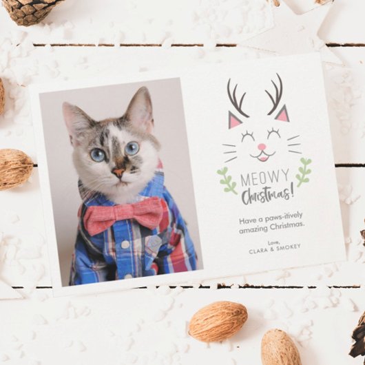 Cartes Pour Fêtes Annuelles Noël Meowy | Photo de chat