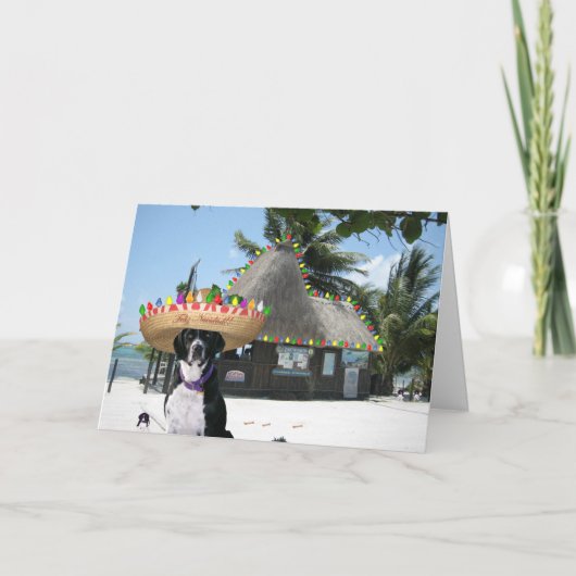 Cartes Pour Fêtes Annuelles Noël mexicain Chrysie (Devant)