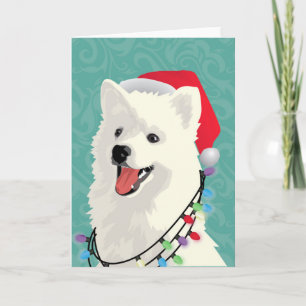 Cartes Pour Fêtes Annuelles Noël mignon de chiot de Samoyed esquimau américain