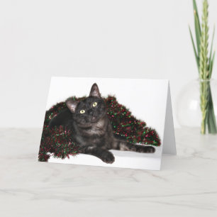 Cartes Pour Fêtes Annuelles Noël noir de chat de fumée
