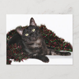 Cartes Pour Fêtes Annuelles Noël noir de chat de fumée