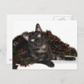 Cartes Pour Fêtes Annuelles Noël noir de chat de fumée (Devant / Derrière)
