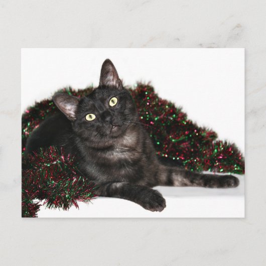 Cartes Pour Fêtes Annuelles Noël noir de chat de fumée (Devant)