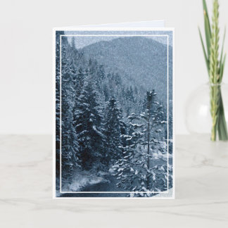 Cartes Pour Fêtes Annuelles Noël, Nouvel An, Fête - Vide