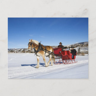 Cartes Pour Fêtes Annuelles Noël occidental - Noël Sleigh de cheval
