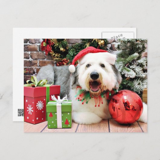 Cartes Pour Fêtes Annuelles Noël - Old English Sheepdog - Alphy (Devant / Derrière)