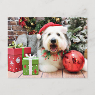 Cartes Pour Fêtes Annuelles Noël - Old English Sheepdog - Alphy