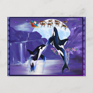 Cartes Pour Fêtes Annuelles Noël Orca