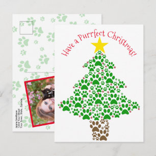 Cartes Pour Fêtes Annuelles Noël Parfait Chat Drôle Empreinte de Patte Photo