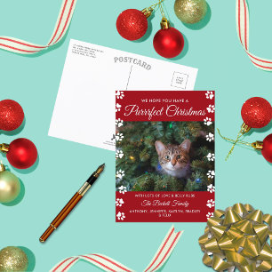 Cartes Pour Fêtes Annuelles Noël parfait   Photo de vacances de chat