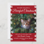 Cartes Pour Fêtes Annuelles Noël parfait | Photo de vacances de chat (Devant)