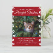 Cartes Pour Fêtes Annuelles Noël parfait | Photo de vacances de chat (Debout devant)