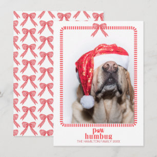Cartes Pour Fêtes Annuelles Noël Paw Humbug Pet Photo Coquette