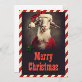 Cartes Pour Fêtes Annuelles Noël Père Noël Chèvre (Devant / Derrière)