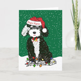 Cartes Pour Fêtes Annuelles Noël personnalisé Naughty Bernedoodle
