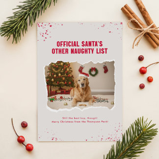 Cartes Pour Fêtes Annuelles Noël Photo de Chien Drôle Humour Moderne