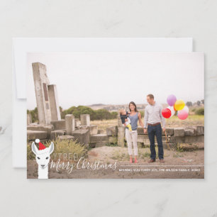 Cartes Pour Fêtes Annuelles Noël Photo Santa Hat Llama