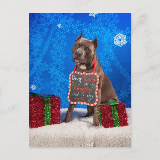 Cartes Pour Fêtes Annuelles Noël Pit-Bull (Devant)