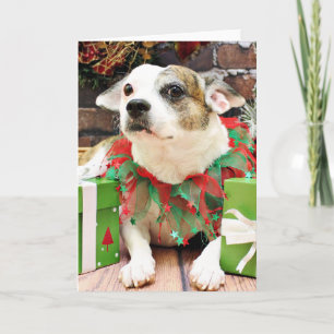 Cartes Pour Fêtes Annuelles Noël - Pitbull X - Opie