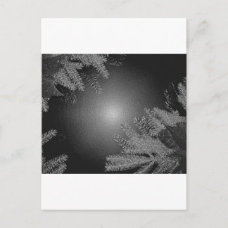 Cartes Pour Fêtes Annuelles Noël Poinsettia noir et gris