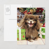 Cartes Pour Fêtes Annuelles Noël - Pomeranian - Fred (Devant / Derrière)