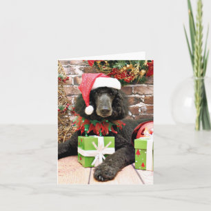 Cartes Pour Fêtes Annuelles Noël - Poodle standard - Bronco