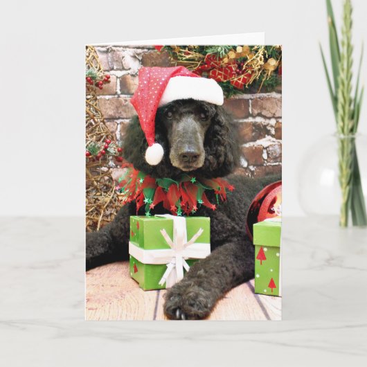 Cartes Pour Fêtes Annuelles Noël - Poodle standard - Bronco (Devant)