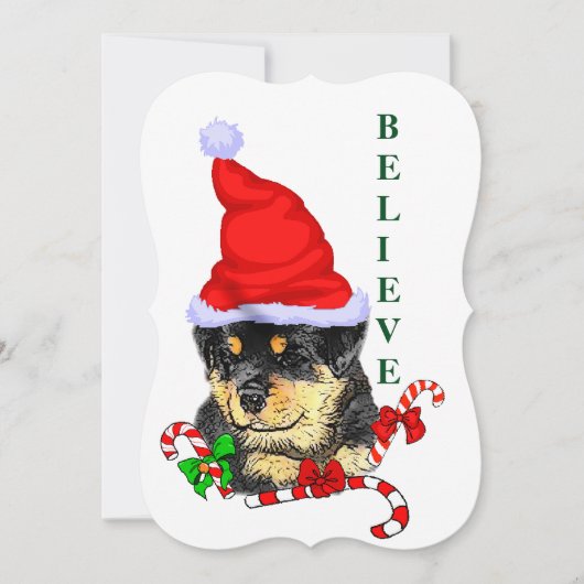 Cartes Pour Fêtes Annuelles Noël Rotweiler (Devant)