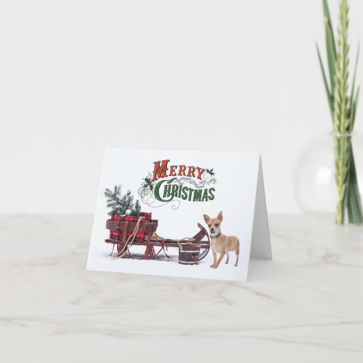 Cartes Pour Fêtes Annuelles Noël rustique du Chihuahua (Devant)