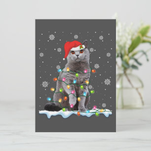 Cartes Pour Fêtes Annuelles Noël Santa Chat British Shorthair Amateur de Chat