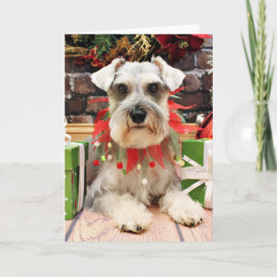 Cartes Pour Fêtes Annuelles Noël - Schnauzer - Abby
