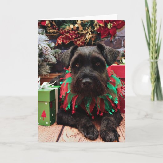 Cartes Pour Fêtes Annuelles Noël - Schnauzer Mix - Bentley (Devant)