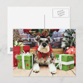 Cartes Pour Fêtes Annuelles Noël - Schnauzer - Petunia (Devant / Derrière)