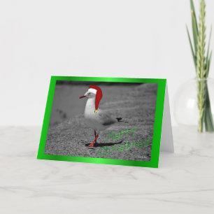 Cartes Pour Fêtes Annuelles Noël seagull santa chapeau drôle humour de Noël