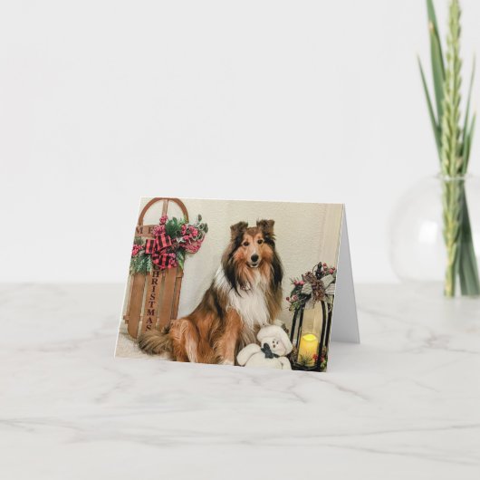 Cartes Pour Fêtes Annuelles Noël sheltie (Devant)